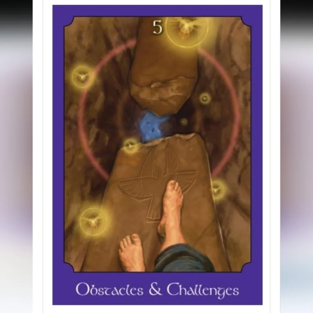 The Psychic Tarot Oracle Deck GuidebookBook by John Holland